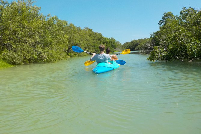 Kayaking Tour Through the Mangroves in Isla Holbox - Starting at VIP Holbox Experience