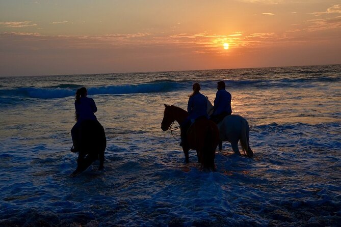 La Bufadora, Markets & Horseback Beach Ride Shore Excursion - Extra Ensenada stops that can improve the day