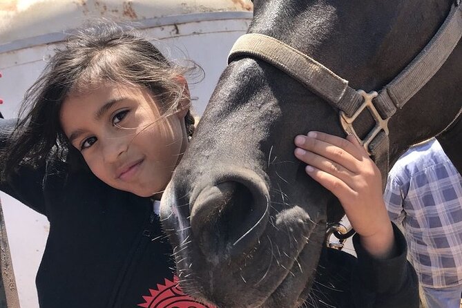 La Bufadora, Markets & Horseback Beach Ride Shore Excursion - Who should book this Ensenada excursion?
