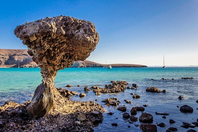La Paz, Balandra and Todos Santos from CABO and San Jose - Playa El Coromuel adds a second beach stop