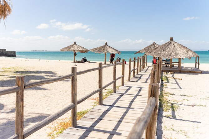 La Paz Beaches Half Day Tour - El Coromuel and the Blue Flag finish