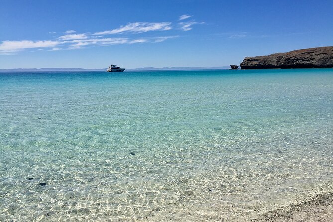 La Paz Whale Shark & Sea Lion Snorkeling + Balandra Tour - Who will enjoy this most
