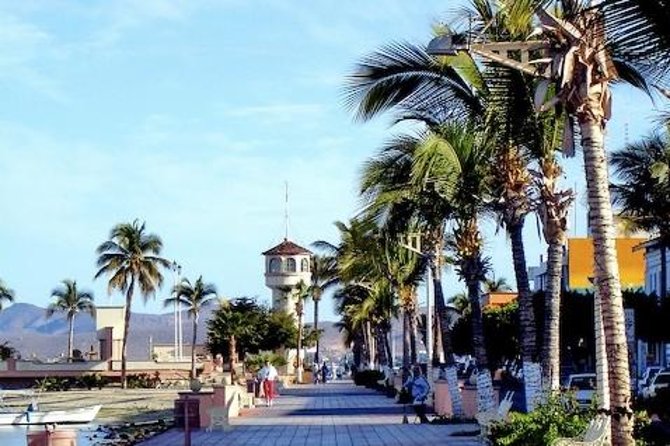 La Paz Whale Shark Snorkeling Tour and Lunch From Los Cabos - Guides, safety, and the family question