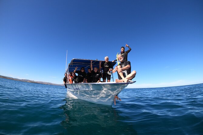 La Paz Whale Shark Snorkeling Tour and Lunch From Los Cabos - The long waits and the wildlife gamble