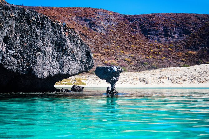 La Paz World Class Snorkeling in Balandras Hidden Beaches - What the $219 price really covers