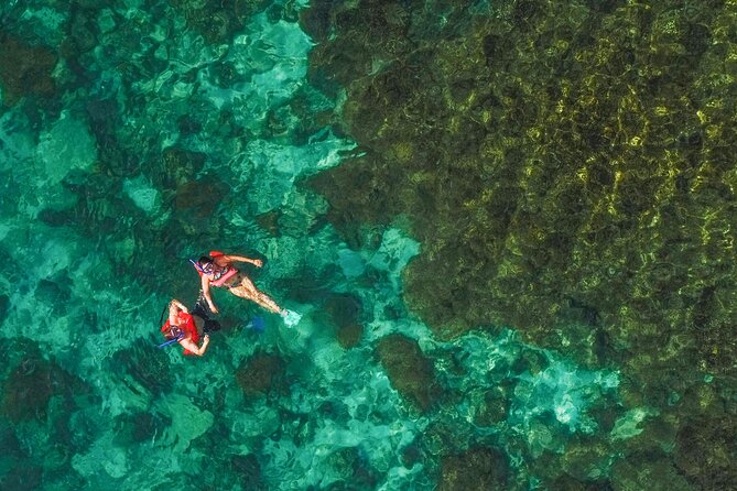 La Paz World Class Snorkeling in Balandras Hidden Beaches - Who should book this Balandra day trip?