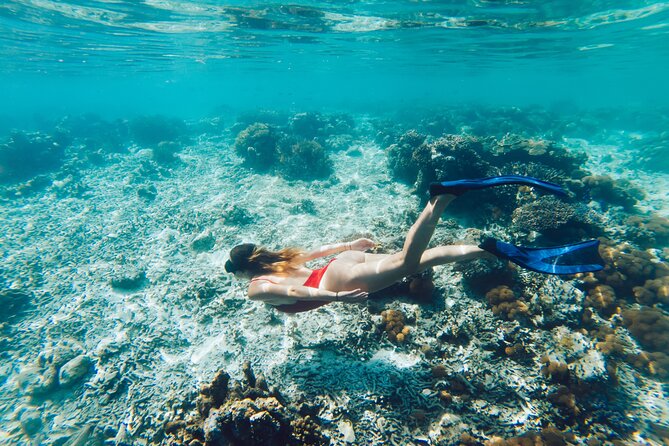 La Paz World Class Snorkeling in Balandras Hidden Beaches - Pichilingue port and the French catamaran