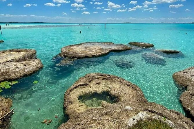 Lagoon of 7 colors from Costa Maya - Boat Tour and transportation - The Black Cenote, known as Cenote la Bruja