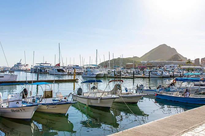 Land’s End Experience – Arch, Beaches & Marine Life - Hotel pickup and group size