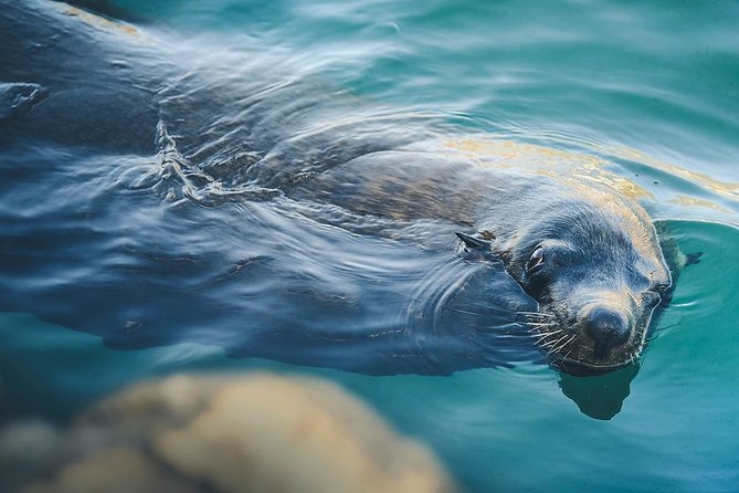 Land’s End Experience – Arch, Beaches & Marine Life - Beach time depends on the captain