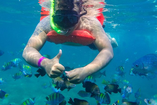 Las Caletas Beach & Adventure Park with buffet lunch and open bar - The lunch buffet and open bar