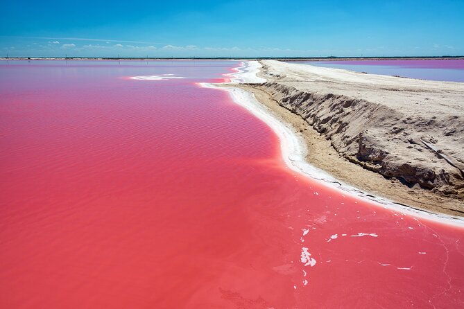 Las Coloradas Pink Lake & Rio Lagartos Guided Tour - The essential facts at a glance