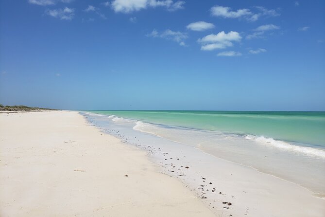 Las Coloradas, Río Lagartos and Playa Cancunito Tour from Mérida - Río Lagartos by boat: the real prize for nature lovers