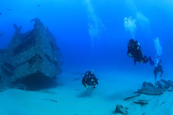 Learn to Scuba Dive in Cabo San Lucas with PADI - Key points to know before booking