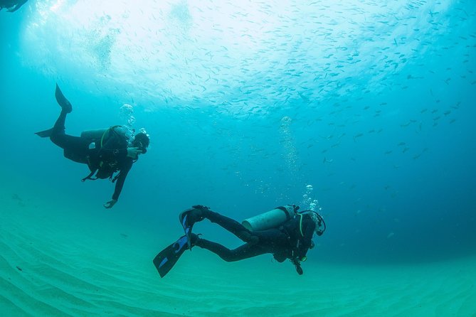 Learn to Scuba Dive in Cabo San Lucas with PADI - The real price: $181 before transportation