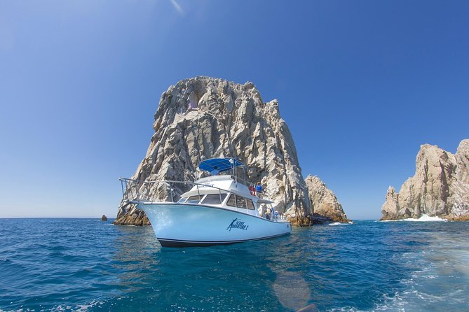 Learn to Scuba Dive in Cabo San Lucas with PADI - Who will enjoy this most