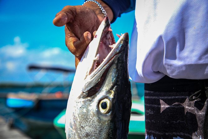 Local Fishing Plus Snorkeling Tour in Isla Mujeres - Fishing for two hours around Isla Mujeres