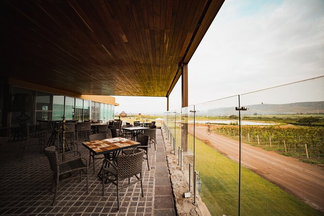 Local Vineyard Tour & Wine Tasting at the Independence Valley - The Tasting Room and Five Wine Pairings