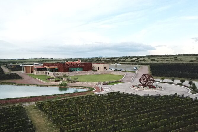 Local Vineyard Tour & Wine Tasting at the Independence Valley - Who Will Enjoy This Wine Tour?