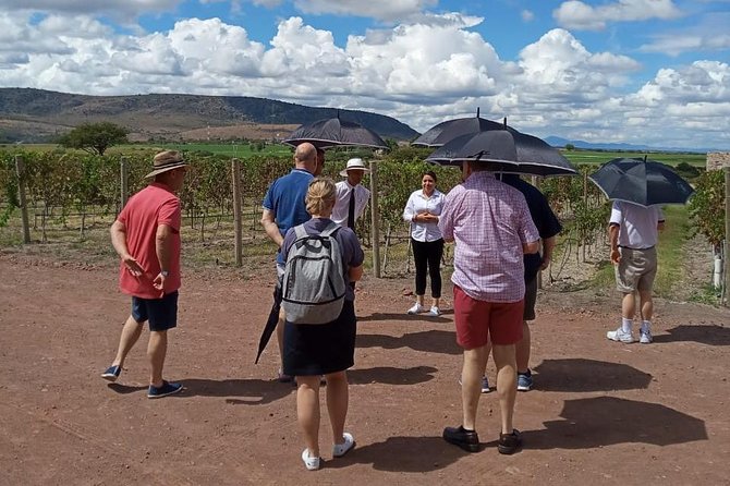 Local Vineyard Tour & Wine Tasting at the Independence Valley - From Vine Rows to the Barrel Cellar