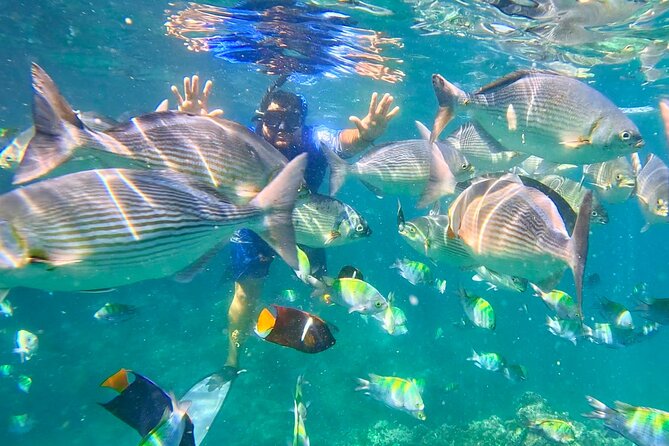 Los Arcos 5 islands Snorkeling Cliff Jumping and Hidden Beach - Mismaloya’s movie-set cliffs come first