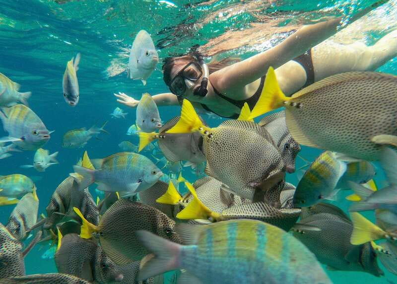 Los Cabos Arch & Lover’s Beach Tour + Snorkeling Tour - Who will enjoy this Cabo snorkeling tour most