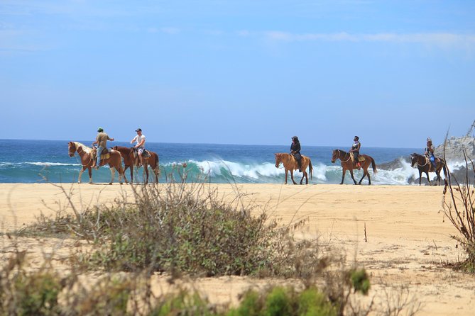 Los Cabos ATV and Pacific Horseback Riding Combo Tour - Horseback Riding Along the Pacific