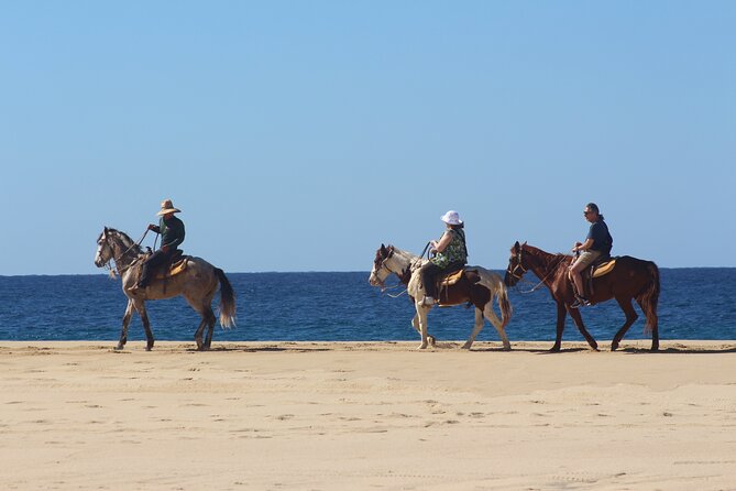Los Cabos ATV and Pacific Horseback Riding Combo Tour - Who Should Book This Tour?