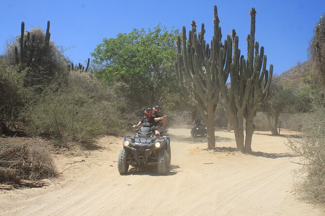 Los Cabos Beach & Desert Tour in Automatic ATV + Tequila Tasting - The Pacific Beach Finish