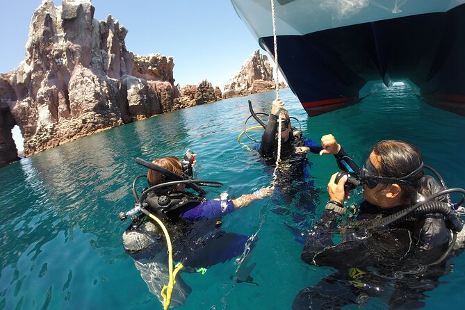 Los Cabos Beginner Scuba Dive Experience - Why the small group can improve the experience