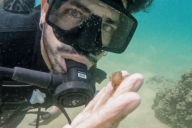 Los Cabos Beginner Scuba Dive Experience - What the $143 price really includes