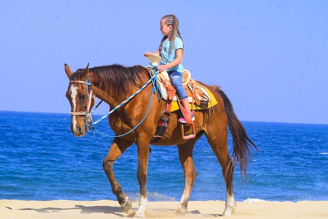 Los Cabos - COMBO Horseback Riding & ATV Tour - From Cabo hotels to the G-Force base