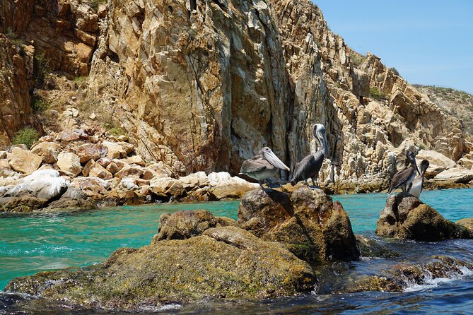 Los Cabos Deluxe City Tour: San Jose, San Lucas and The Arch - Tequila tasting adds flavor and context