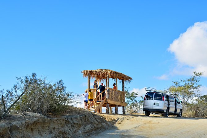 Los Cabos: Hiking at the Fox Canyon with Waterfall - Is $165 a Fair Price?