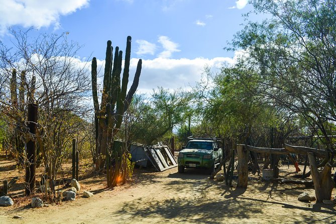 Los Cabos: Hiking at the Fox Canyon with Waterfall - What the Trail Feels Like Underfoot