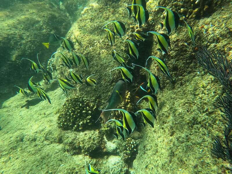 Los Cabos: Kayak to The Arch & Snorkel + Transport & Photos - Guides, photos, snacks, and transport