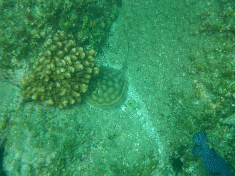 Los Cabos: Kayaking and Snorkeling in Two Pristine Bays - Chileno Beach and the second snorkeling stop