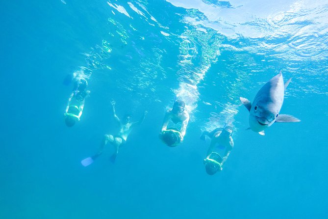 Los Cabos Power snorkel Adventure, Kayaking and Stand-Up Paddle - Key points to know before you book