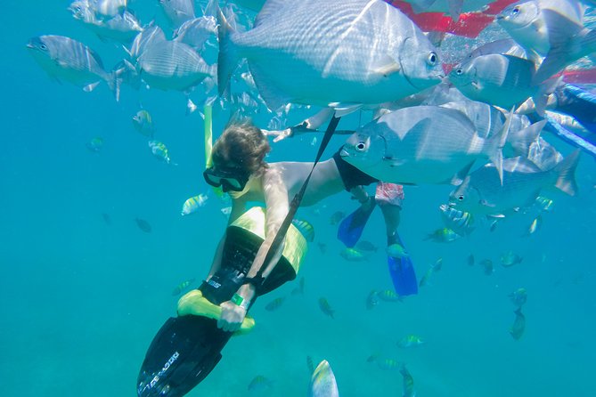 Los Cabos Power snorkel Adventure, Kayaking and Stand-Up Paddle - El Arco offers a scenic pause, not a full sightseeing cruise