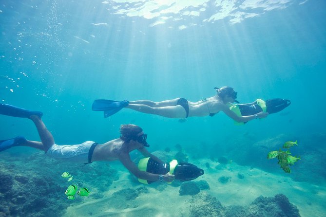 Los Cabos Power snorkel Adventure, Kayaking and Stand-Up Paddle - Marine life can make an ordinary snorkel memorable