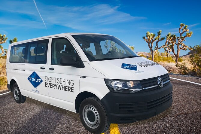 Los Cabos Private Mini-van Round-Trip Transfer - Meeting your driver after customs