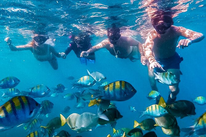 Los Cabos Snorkeling Tour by Speed Boat with Photos Included - Key points to know before you book