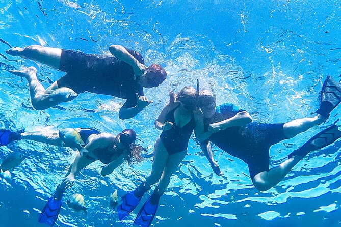 Los Cabos Snorkeling Tour by Speed Boat with Photos Included - Finding a quieter snorkeling area