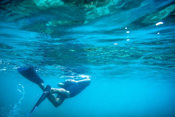 Los Cabos Snorkeling Tour to Chileno Bay and Santa Maria Cove - Why this tour works better than a boat excursion