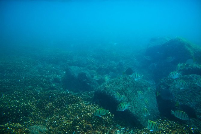 Los Cabos Snorkeling Tour to Chileno Bay and Santa Maria Cove - What the three-hour schedule really feels like