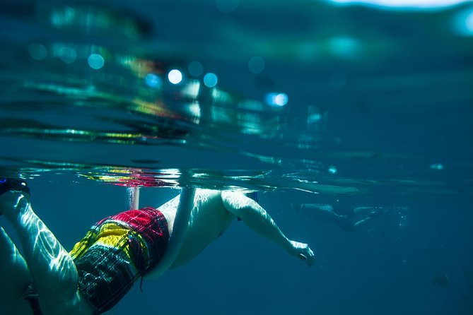 Los Cabos Snorkeling Tour to Chileno Bay and Santa Maria Cove - Is $95 a fair price?