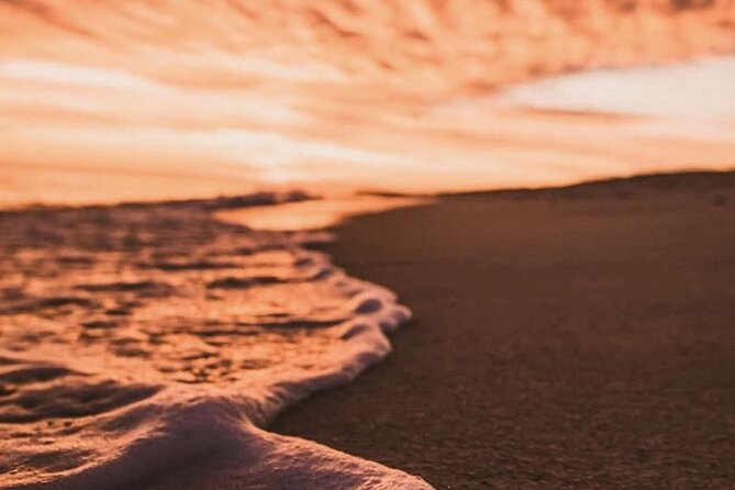 Los Cabos turtle release conservation program - Practical tips for a better evening