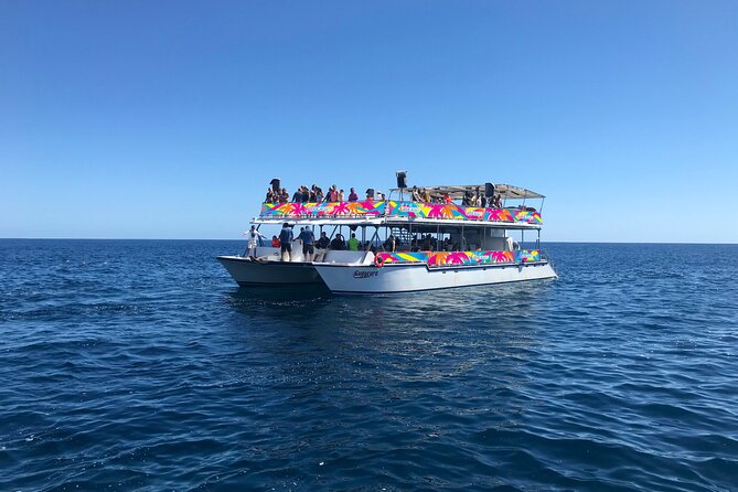 Los Cabos Whale Watching Cruise Including Breakfast - The whale search in the Sea of Cortez