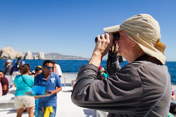 Los Cabos Whale Watching Cruise Including Breakfast - What the whale viewing is really like