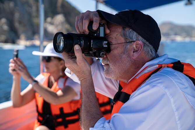 Los Cabos Whale Watching (Transportation and Pictures Included) - El Arco and the sea lions in the first 20 minutes